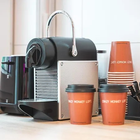 公寓 Crazy Monkey Loft Mit 100qm & Summerlounge *