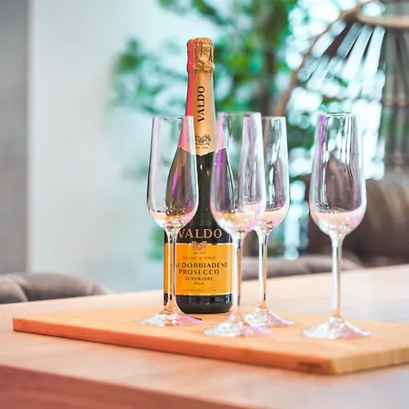 Das Crazy Monkey Loft Mit 100qm & Summerlounge Apartment
