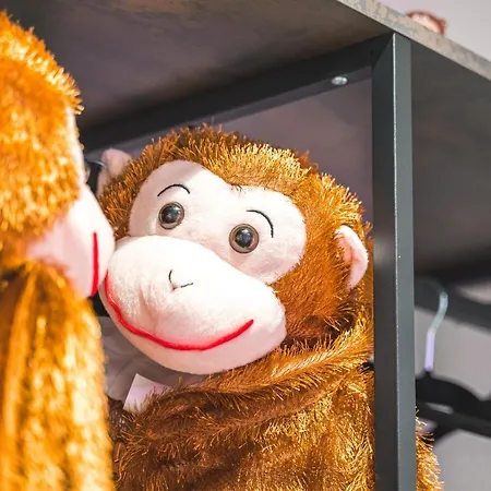 Apartment Das Crazy Monkey Loft Mit 100qm & Summerlounge